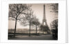Pathway to Eiffel tower, Paris by Assaf Frank